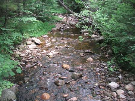 Black Brook